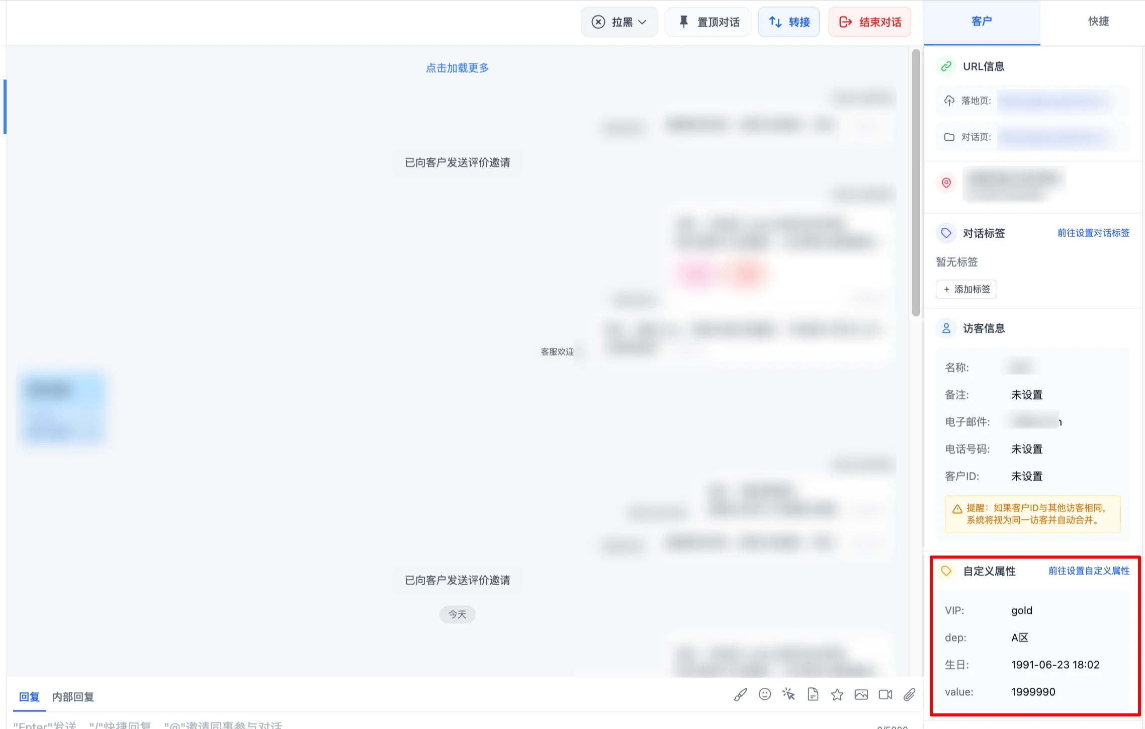 Visitor information - Custom Attributes feature overview